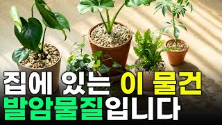 집에 있는 이거 당장 버리세요 집을 오염시켜 만성염증 암유발 하는 발암물질 입니다 [upl. by Ordnassela738]