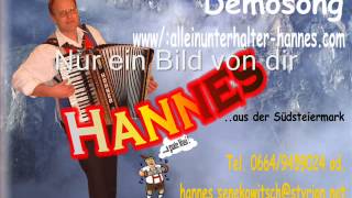 Alleinunterhalter Hannes  Nur ein Bild von dir [upl. by Yenohtna]