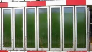 How Algae feed a House [upl. by Nitsa]