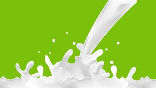 Milk Vector in Adobe Illustrator [upl. by Rema]