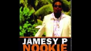 Jamesy P Nookie Ft Elephant Man Remix [upl. by Inaffit]