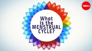 How menstruation works  Emma Bryce [upl. by Aihseyt]