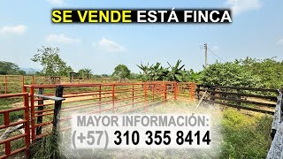 🔥SE VENDE  ESTÁ FINCA  MUY BIEN UBICADA  Contacto WhatsApp 57 310 355 8414🔥 [upl. by Pearlman]