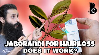 Jaborandi  A Natural Treatment For Hair Loss Balding amp Hair Growth  Bearded Chorka [upl. by Monsour694]