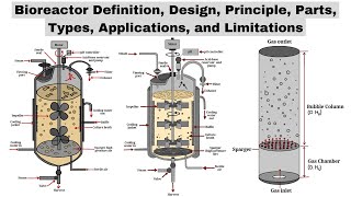 Bioreactors  Design Principle Parts Types Applications amp Limitations  Biotechnology Courses [upl. by Shannon]