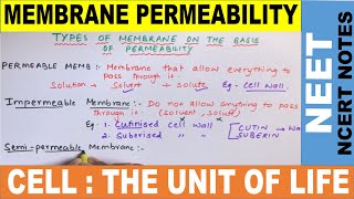 Why Plasma Membrane is Selectively Permeable Membrane   Permeability of Membrane NEET 2021 NCERT [upl. by Herbie758]