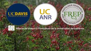 Fósforo en la Nutrición de las Plantas en la Producción de Viveros [upl. by Swann]