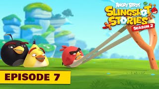 Angry Birds Slingshot Stories S2  Unflappable Ep7 [upl. by Ellehcil]