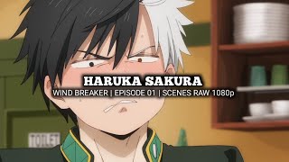 HARUKA SAKURA SCENES  WIND BREAKER  Episode 01  Scenes RAW 1080p [upl. by Theresa]