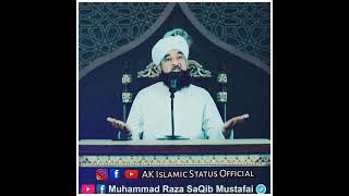 Hazrat Ali ؓ or Hazrat Ameer Muawiya ؓ  Saqib raza Mustafai status  AK Islamic Status Official [upl. by Aiciled]