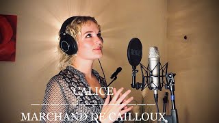 Calice  Marchand de cailloux  Cover Renaud [upl. by Bennir953]