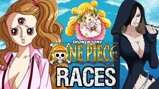 ONE PIECE  Final Trailer  Netflix [upl. by Nitsreik]