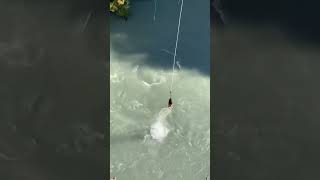 CRAZIEST Bungee Jump Ever 😂 bunggeejump [upl. by Kitchen197]