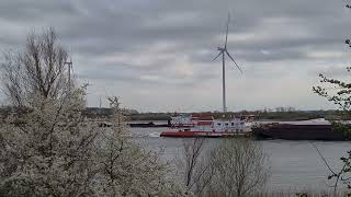 Oude Maas Veerhaven VII en Veerhaven IV ontmoeten elkaar [upl. by Brandi545]