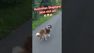 Fahrradtour mit Hund doch der muss laufen 🐶😂🐶 [upl. by Stanly]