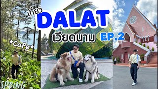 DALAT VLOG 2024 🇻🇳 Ep2 cafe Hydranged garden  เที่ยวเวียดนามพากินแหนมเนืองฉบับไกด์ดาลัด [upl. by Mosera]