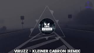 ViruzZ  Kleiner Cabrón Remix  HARDTEKK  HD [upl. by Kath421]