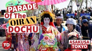 PARADE of the OIRAN DOCHU procession in ASAKUSA  GEISHA and OIRAN in JAPAN  WHATS the DIFFERENCE [upl. by Byrne]