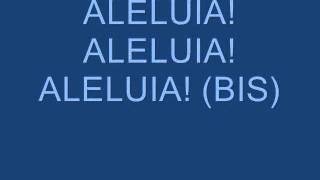 ALELUIA ENCONTRAMOS O MESSIAS Aclamação  2º Domingo Tempo Comum  Ano B [upl. by Nnylireg562]