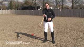 How to play polo an introduction [upl. by Malamud]