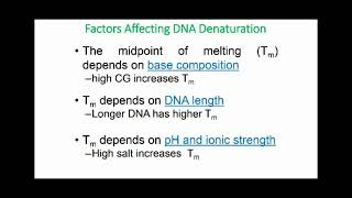 Factors Affecting DNA Denaturation [upl. by Stout313]