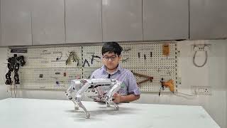 Robo Dog  SPSEC Kanpur  Quest Academics [upl. by Imaon528]