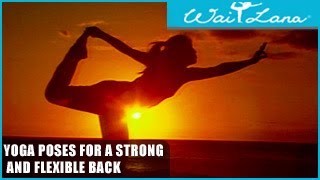 Yoga Poses for a Strong and Flexible Back Wai Lana Yoga [upl. by Ted567]