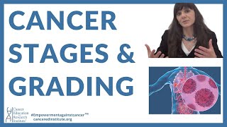 2  Grading of cancercancer stages  Cancer Education amp Research Institute [upl. by Ardnohs721]