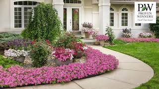 Order Supertunia® Vistas from Proven Winners® for Your Containers or Landscaping [upl. by Ogaitnas]