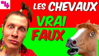 TOUT SAVOIR SUR LES CHEVAUX  QUIZ VRAI OU FAUX 4 [upl. by Florin]