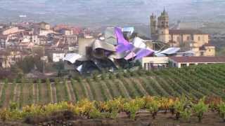 La vendimia en Marqués de Riscal  Harvest at Marqués de Riscal [upl. by Aros]