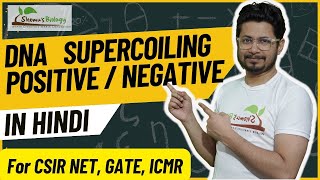 DNA positive and negative supercoiling  DNA supercoiling in Hindi [upl. by Ssitruc]