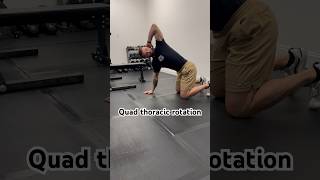 Quadruped thoracic rotation demo shorts mobility [upl. by Atekahs]