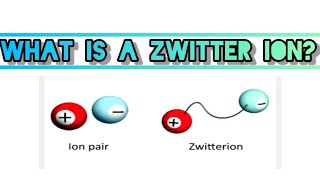 Zwitter ion shorts youtube zwitterion trending [upl. by Atsirak750]