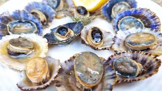 Πεταλίδες  Limpets Catch And Cook  Eπ 548  Σταυρούλα Ζεγκίν [upl. by Hein]