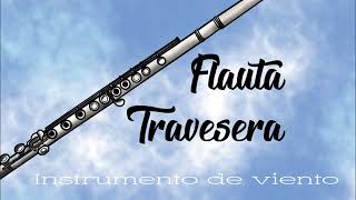 FLAUTA TRAVESERA SONIDO [upl. by Damour]