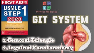 Anatomy of Inguinal Canal femoral triangle from first aid step 1part 8USMLEUrduHindi [upl. by Suolekcin]