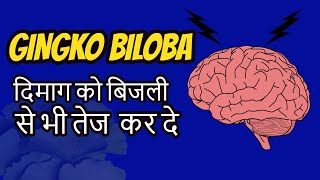 दिमाग को तेज करने के लिए ये खाओ Ginkgo Biloba Benefits in Hindi [upl. by Veradis934]