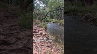 Trail bike ride beauty…peaceful trailride [upl. by Oirretna]