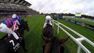 British Champions Day Jockey Camera [upl. by Fidelio]