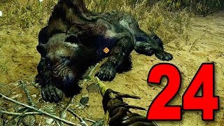 Far Cry Primal  Part 24  HUNTING A RARE SABER TOOTH Lets Play  Walkthrough  PS4 Gameplay [upl. by Melliw643]