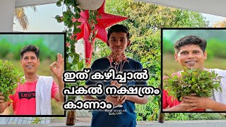 PONNAGANNI  ഇത് കഴിച്ചാൽ പകൽ നക്ഷത്രം കാണാം  Dhanush green channel [upl. by Ztnaj]