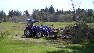 Tree Removal with a New Holland Workmaster 55 [upl. by Alexander]