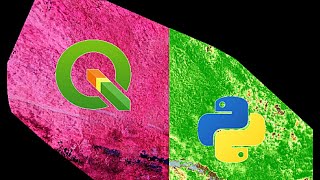 Drone NDVI Mapping in QGIS and Python Analysis Code [upl. by Eissac662]