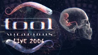 TOOL VICARIOUS Live 2006 10000 Days Performance REMASTERED [upl. by Ssegrub207]