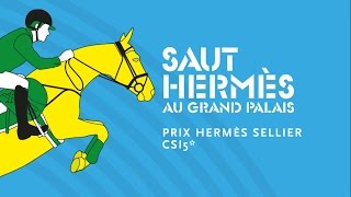 Saut Hermès 2015  Prix Hermès Sellier CSI 5  Class 3 [upl. by Dasie]