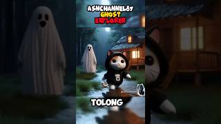 Ghost Explorer  Sosok yang menghantui Kucing itu [upl. by Weinert]