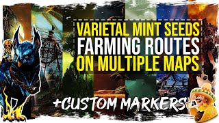 Guild Wars 2  Varietal Mint Seeds Farming Routes with Custom Markers [upl. by Aicemak382]