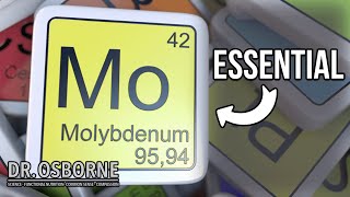 Molybdenum  An Essential Mineral Every Body Needs [upl. by Procto]