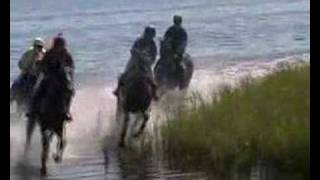 Racing on the beach 2007Point to point [upl. by Aihsad]